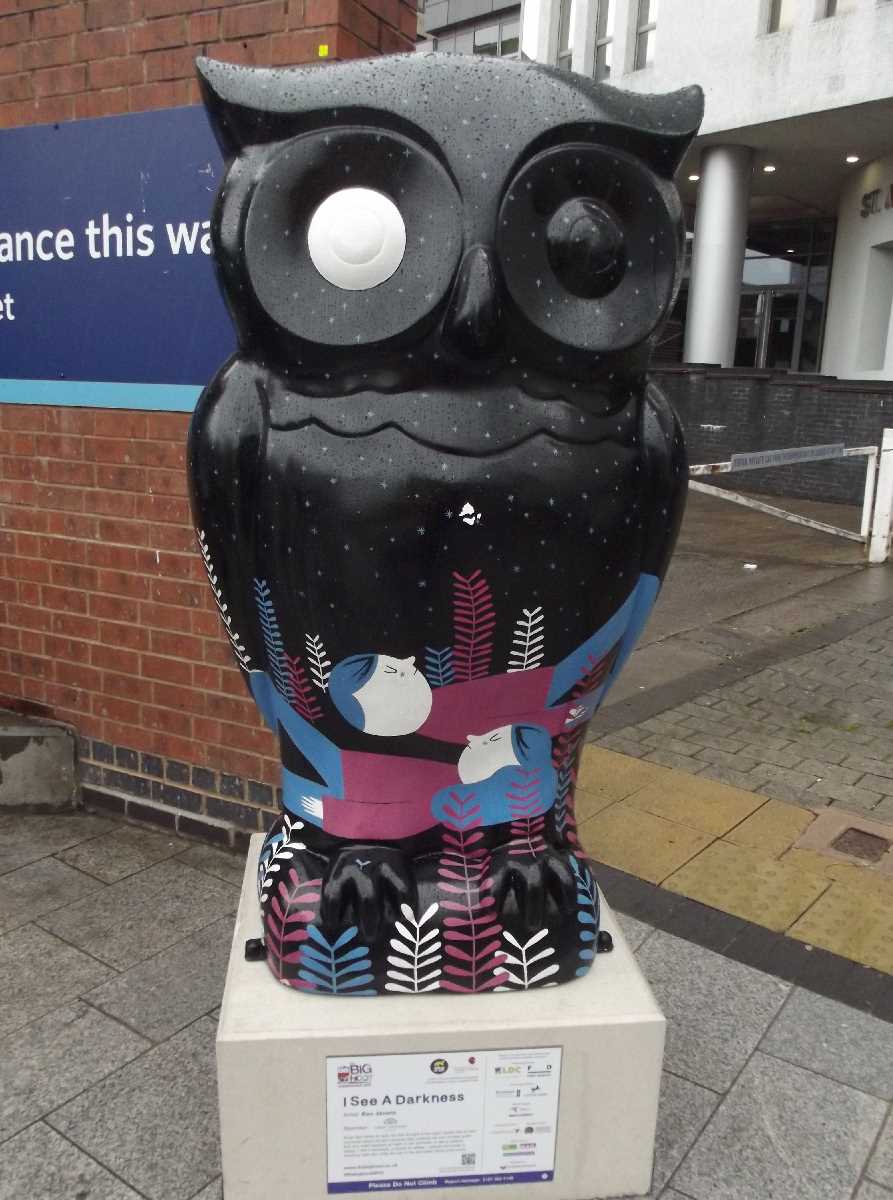 The Big Hoot New Street Station